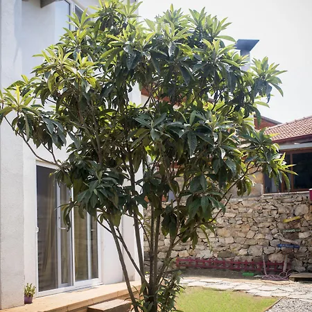 Hydas Guest house *