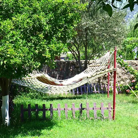 Guest house Hydas